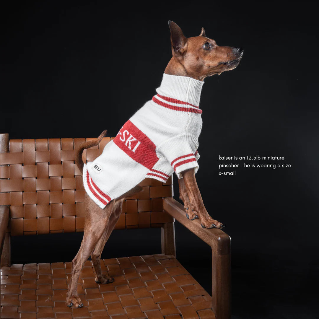 BEIJ Après-Ski Dog Sweater XS