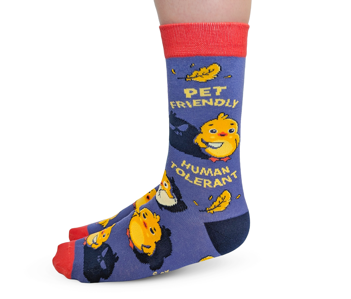 Uptown Sox – Women's Pet Friendly