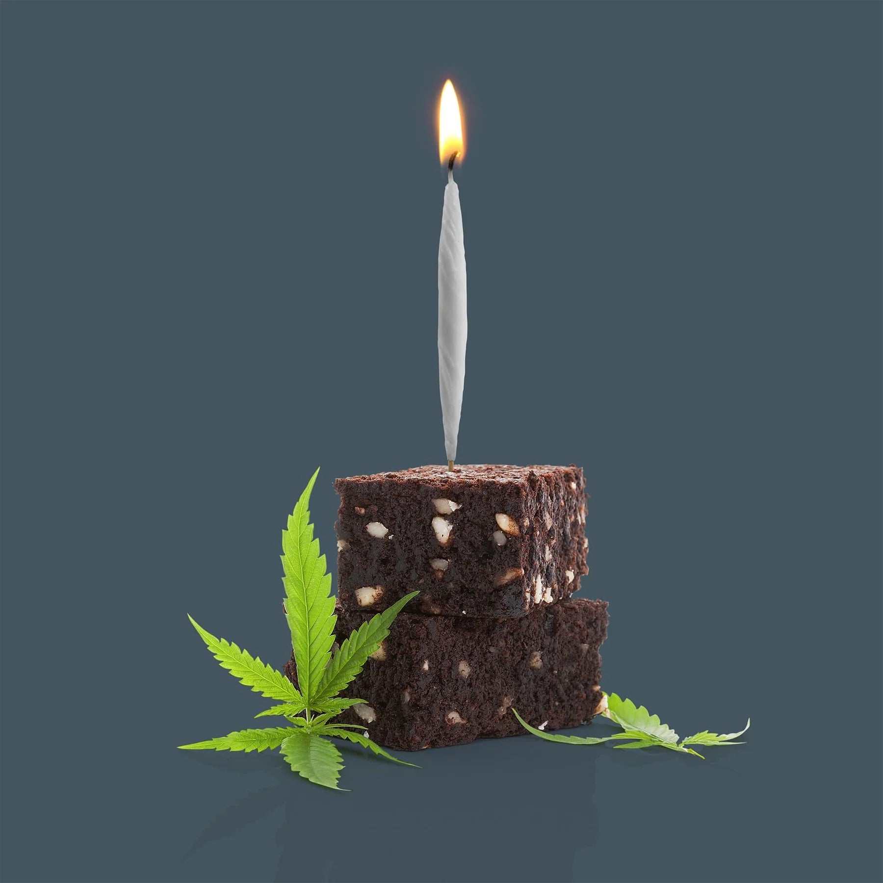 Lit Party Candles (8)
