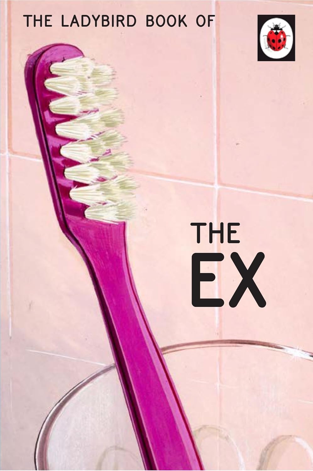 The Ladybird Book Of The Ex