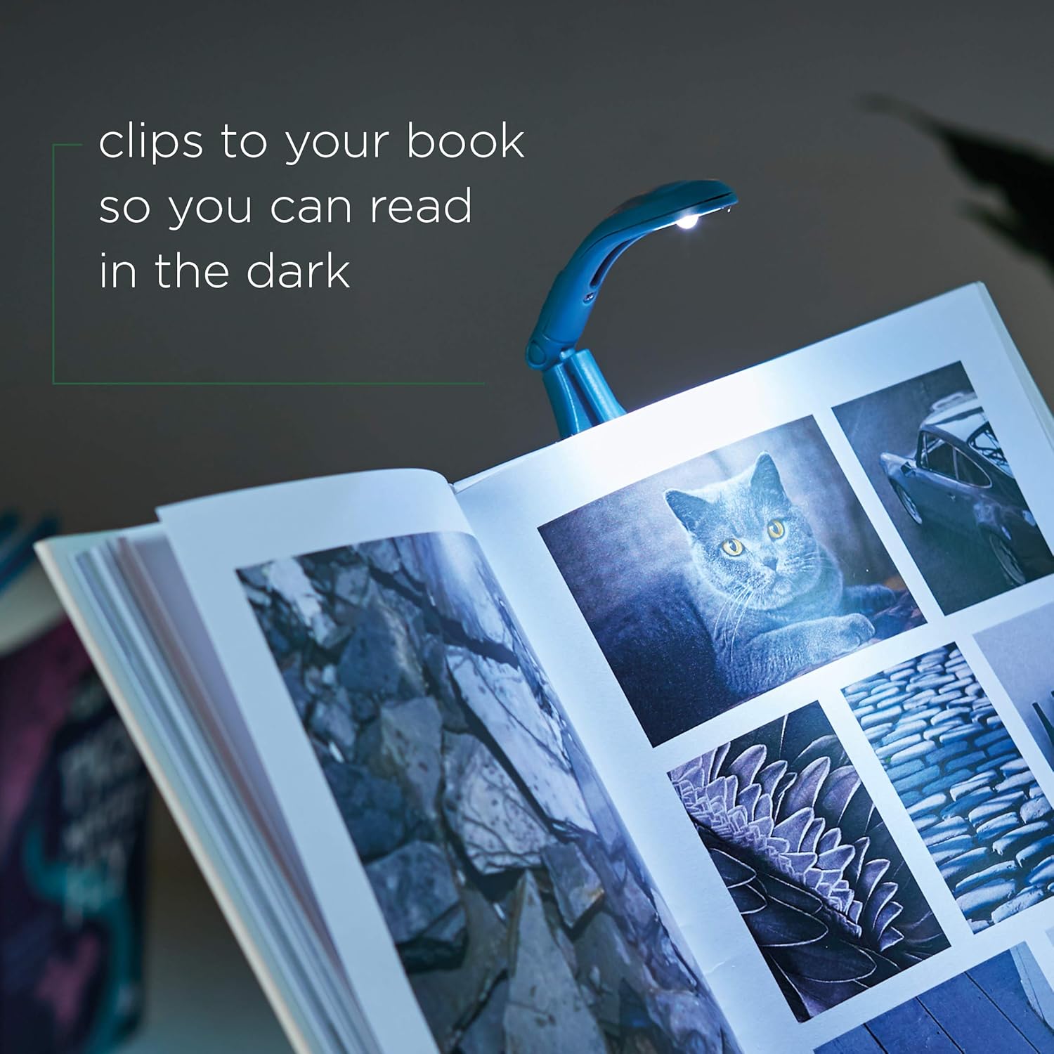 Book Light