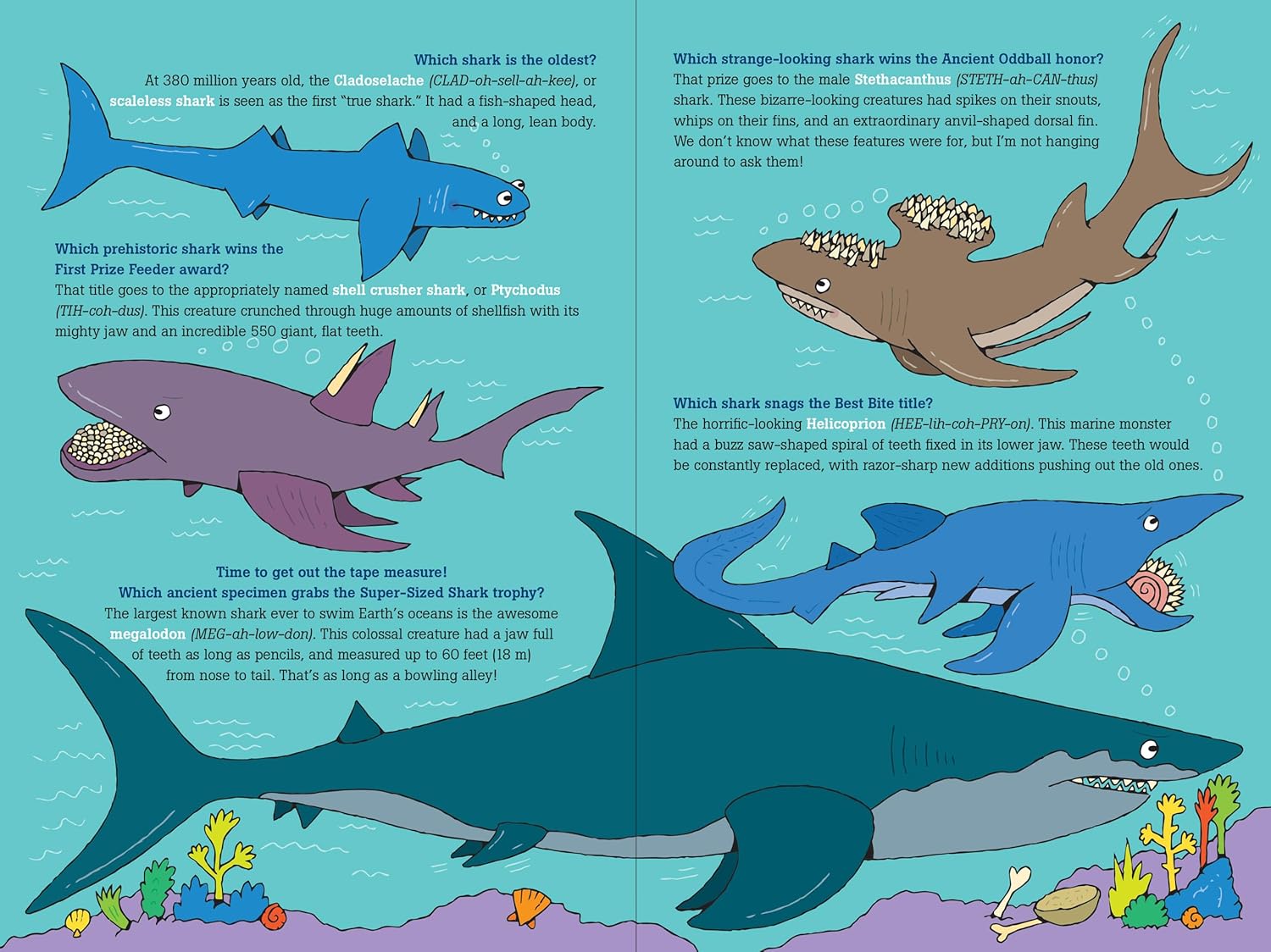 100 Questions About Sharks
