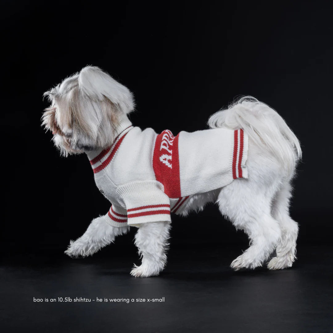 BEIJ Après-Ski Dog Sweater XS