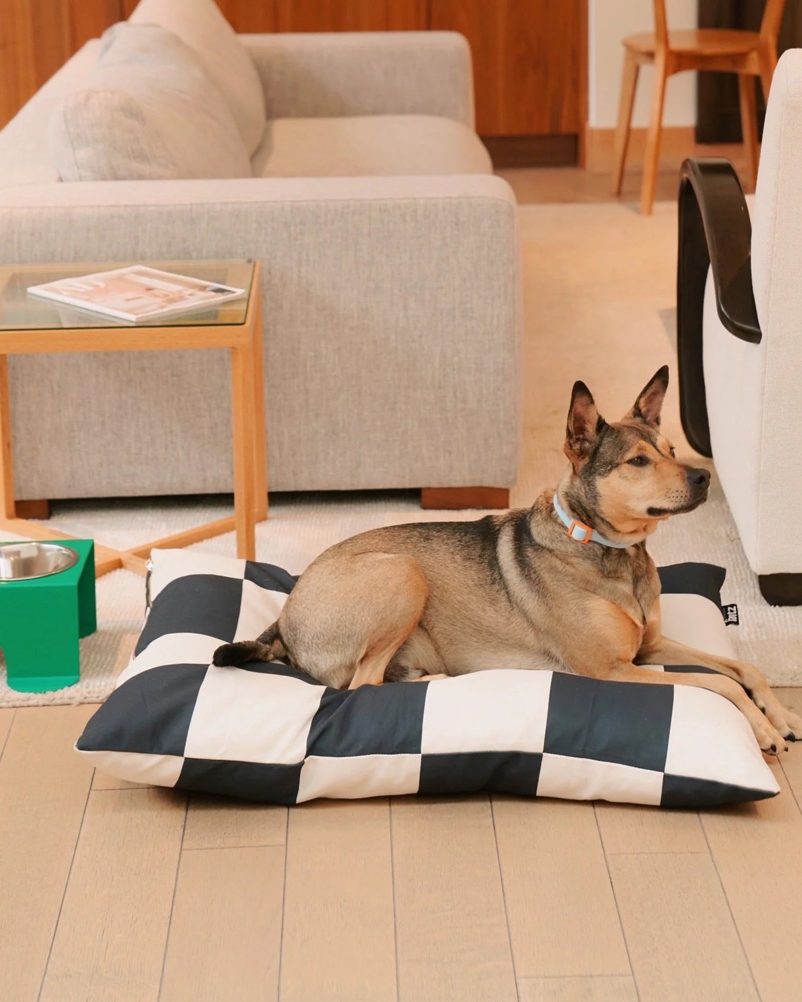 Fritz Modern Dog Bed