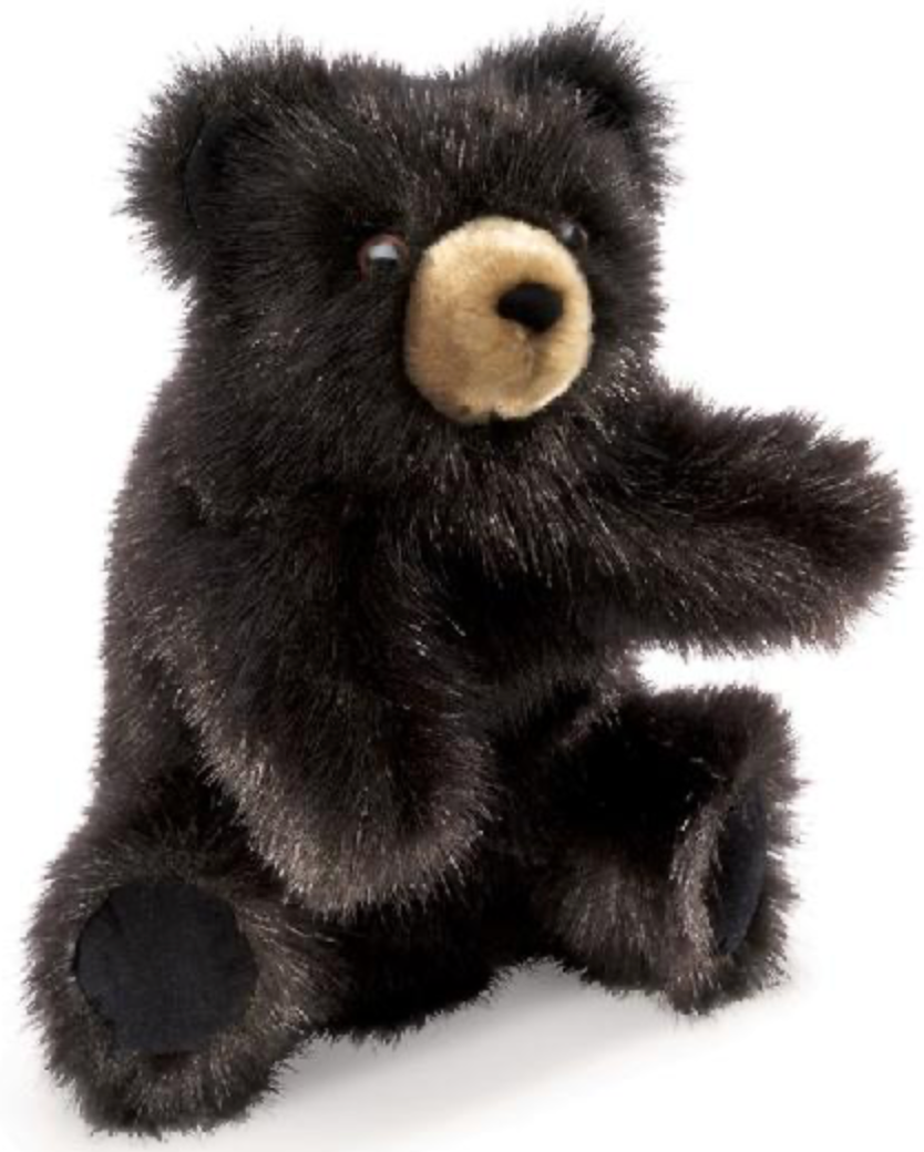 Baby Black Bear