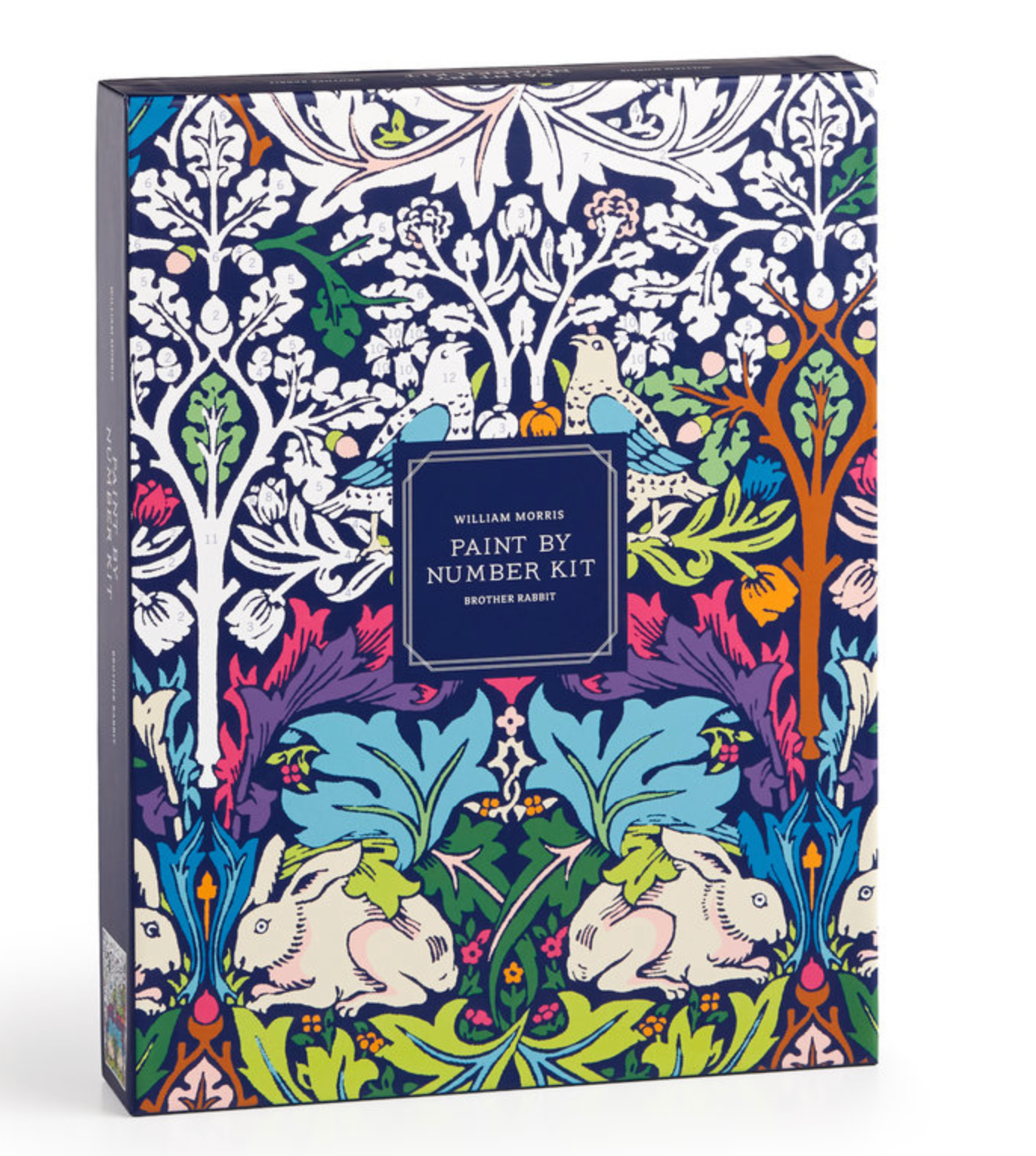 RC William Morris Brother Rabbit Paint by Number Kit