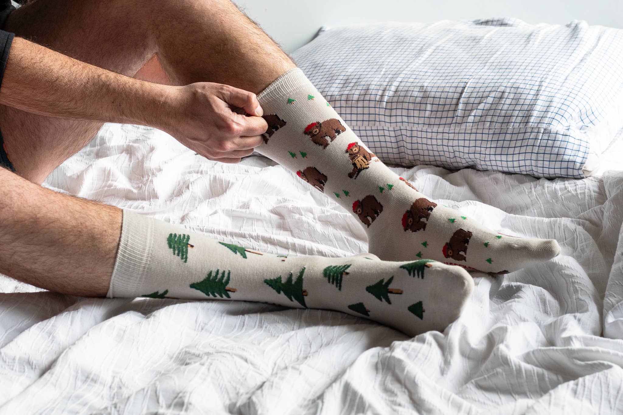 Friday Sock Co. - Men's Bear in Hat and Trees Mismatched
