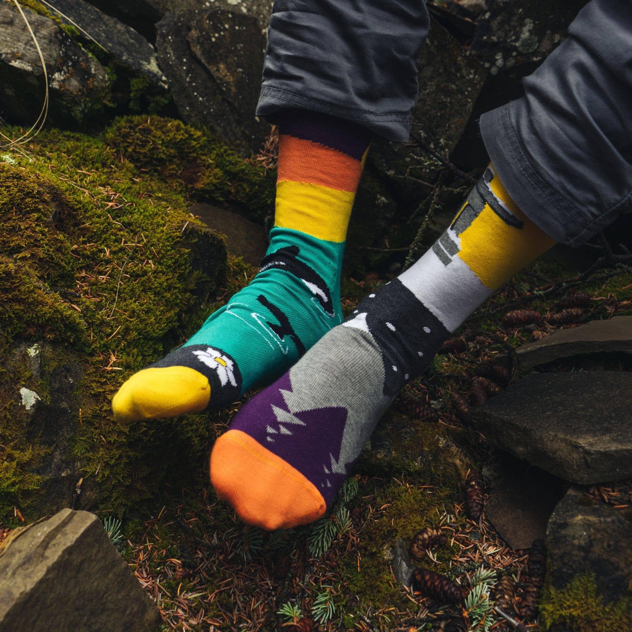 Friday Sock Co. - Men's  West Coast Canadian Landscape