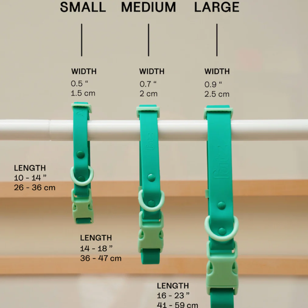 Fritz Collar Blue / Orange MED