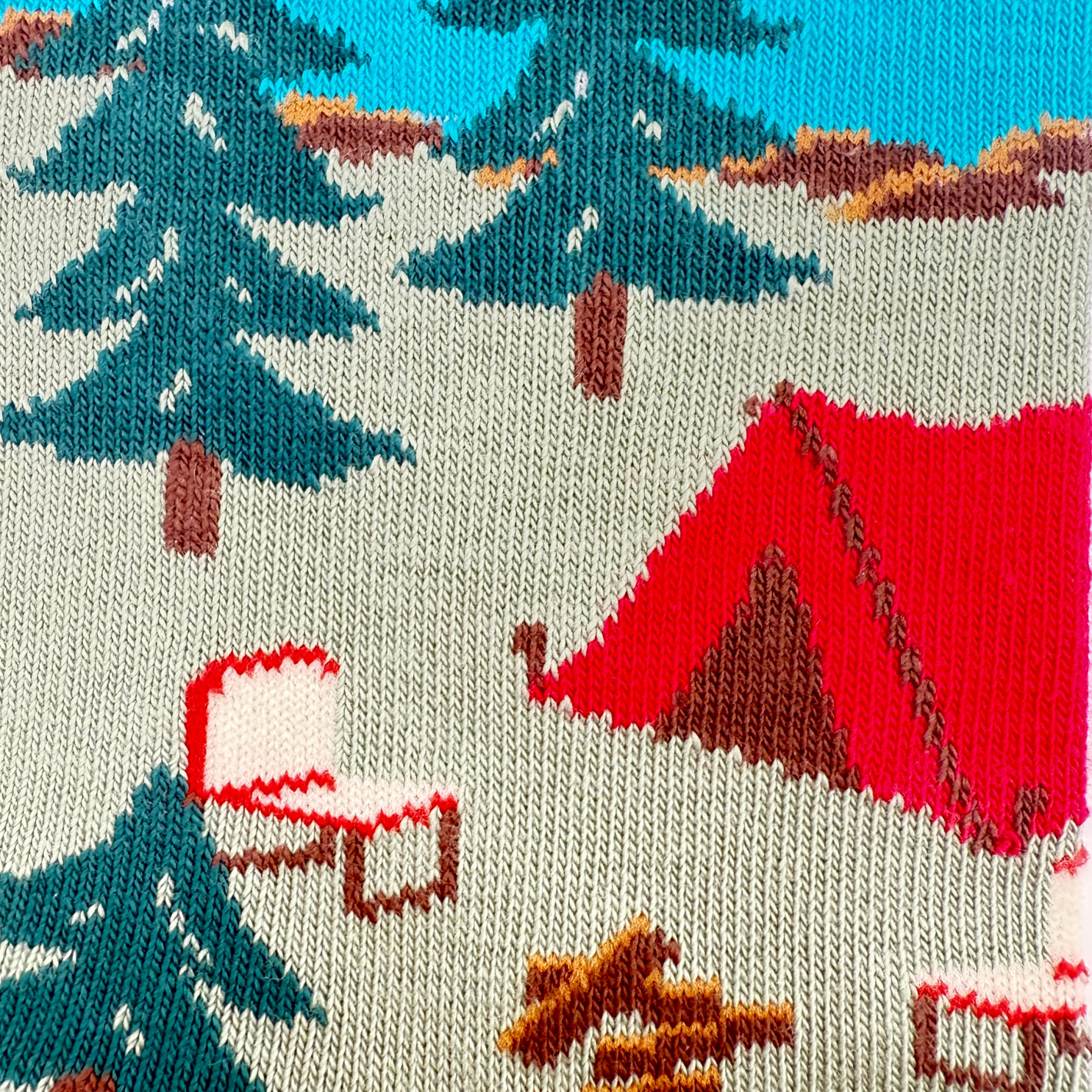 Friday Sock Co. - Men's Canada Mountain Scene