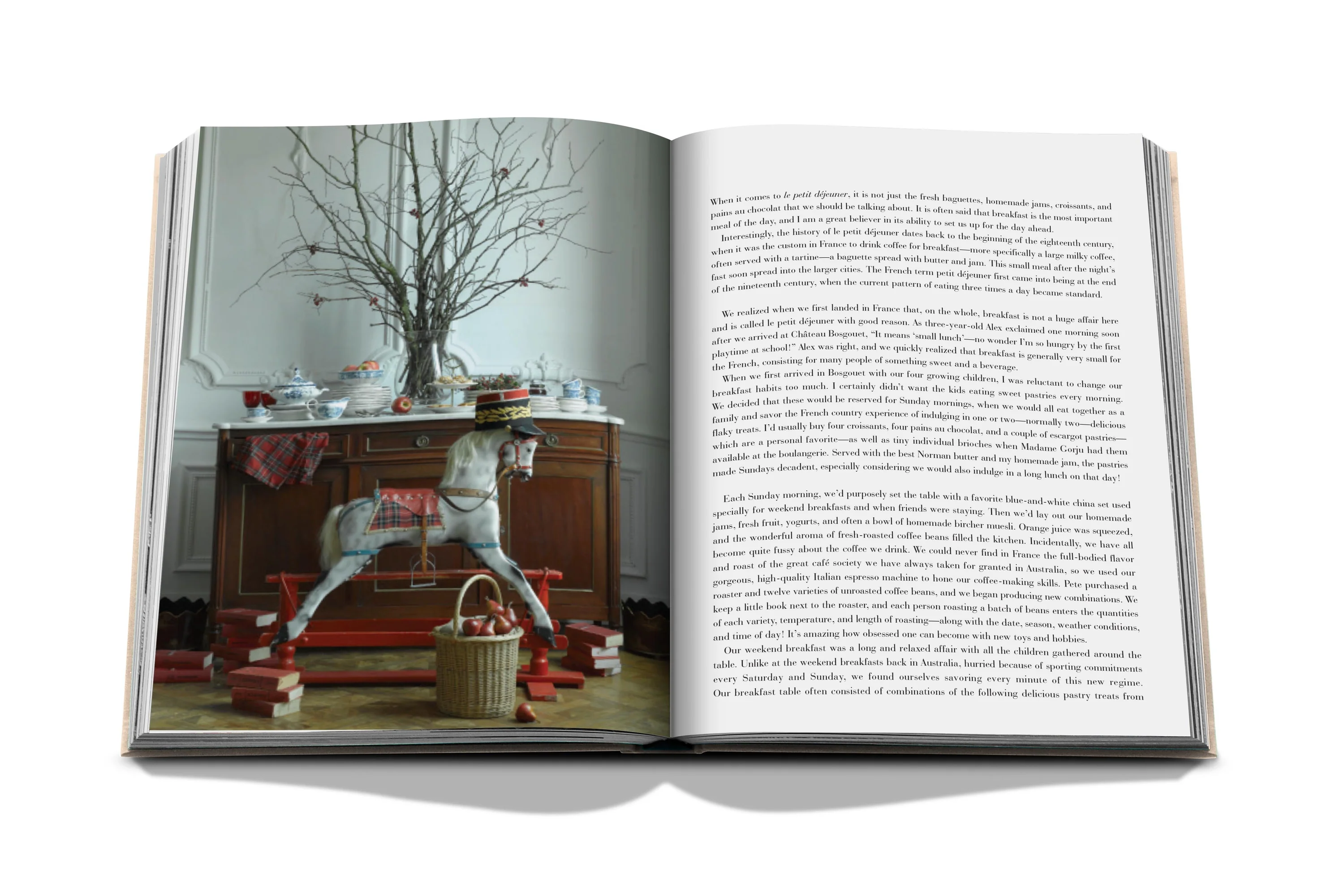 Assouline Chateau Life