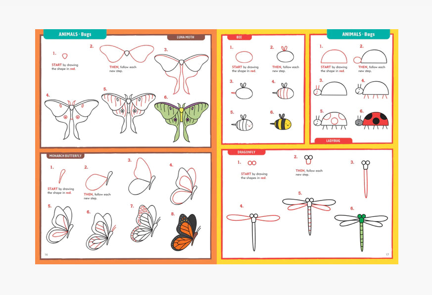 Learn to Draw Everything