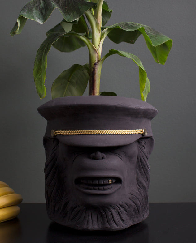 Garden Glory Monkey Face
