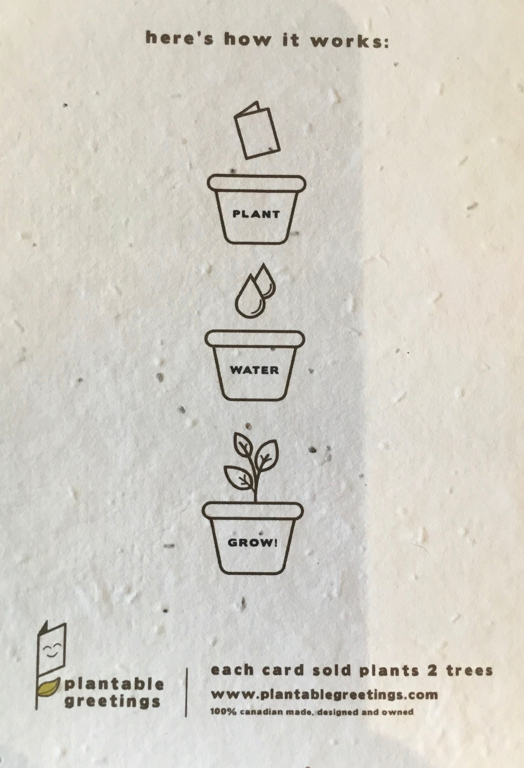 Plantable Greeting Cards