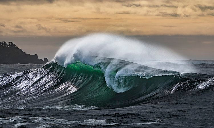 David McColm Emerald Coast
