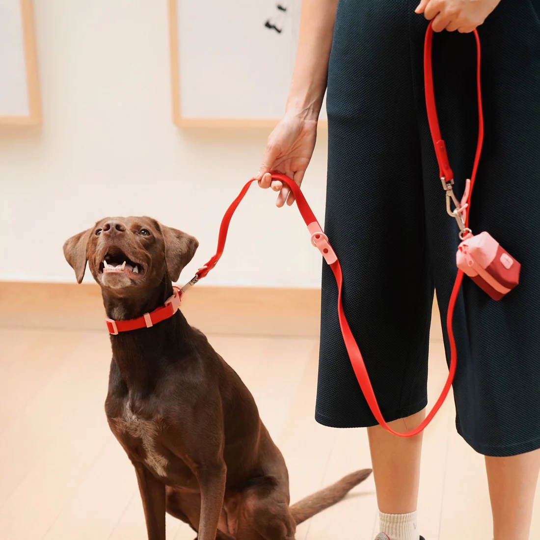 Fritz Collar Cherry MED