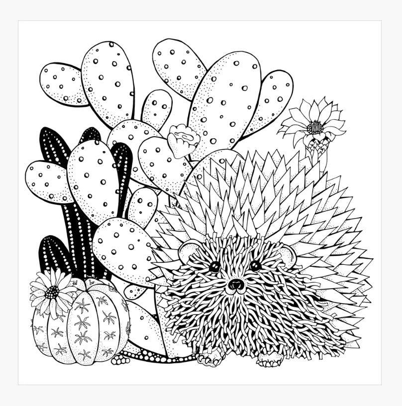 Succulents Colouring Book