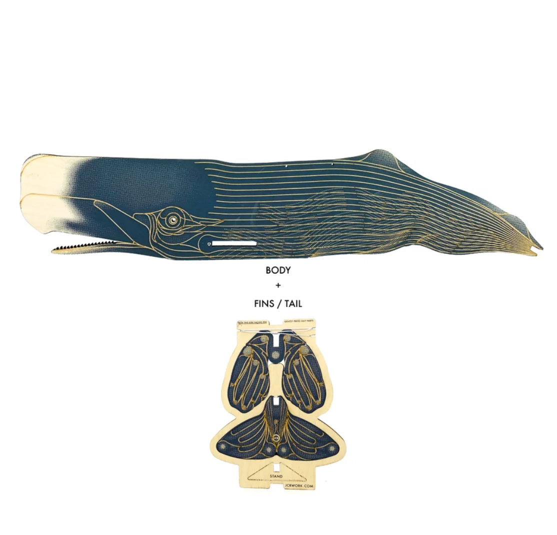 JCR Whales Sperm Whale