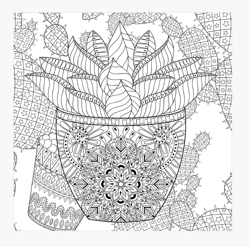 Succulents Colouring Book