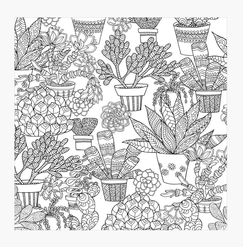 Succulents Colouring Book