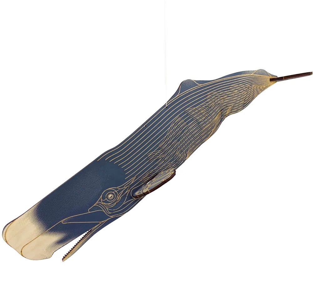 JCR Whales Sperm Whale