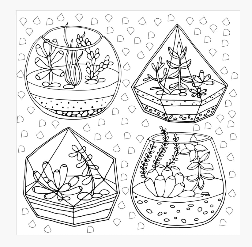 Succulents Colouring Book
