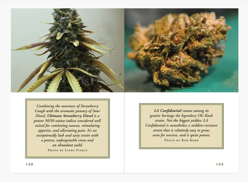 The Little Black Book of Marijuana