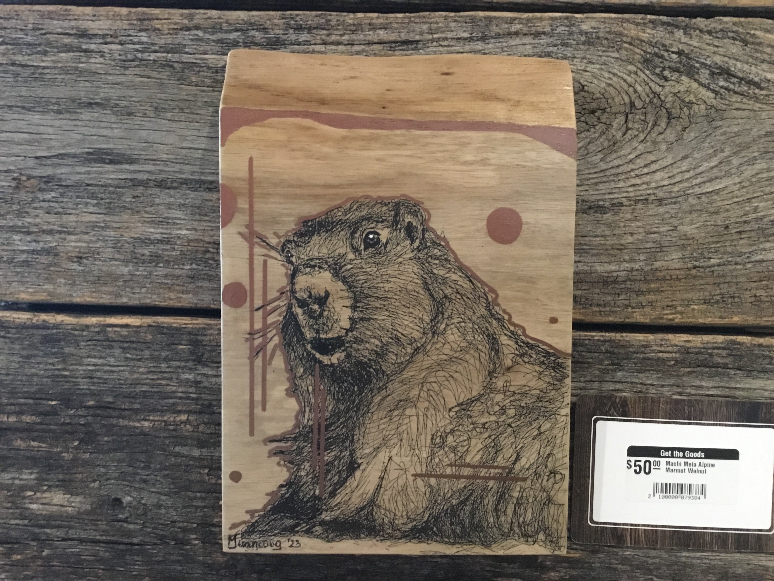 Machi Mela Alpine Marmot Walnut