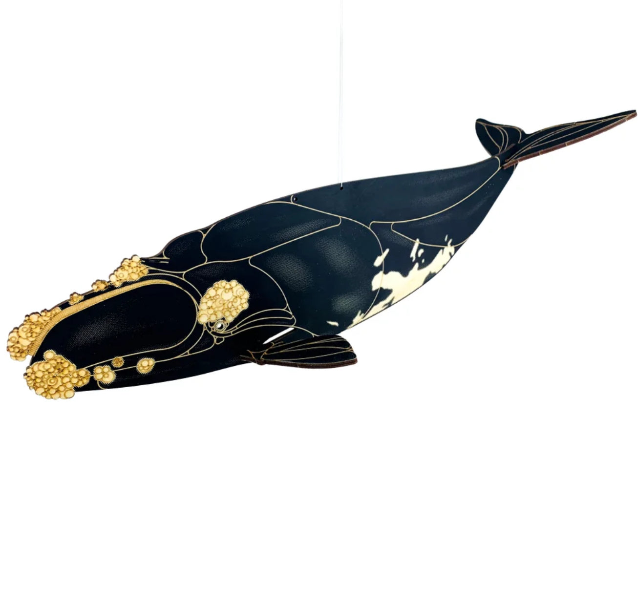 JCR Whales Right Whale