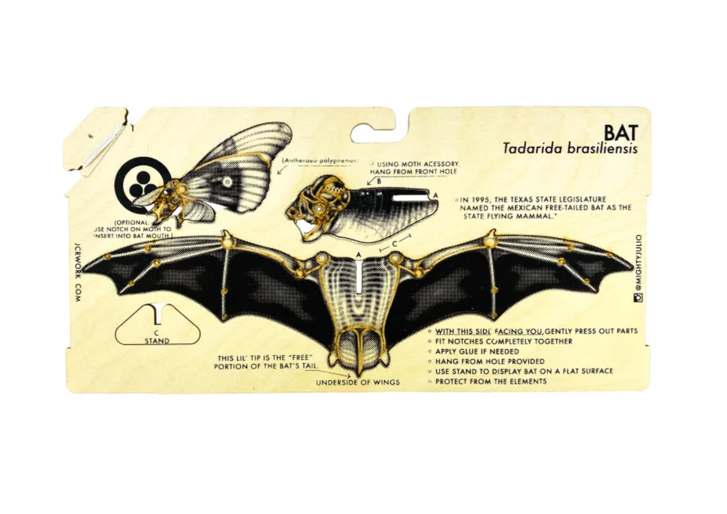 JCR Bats Free Tailed