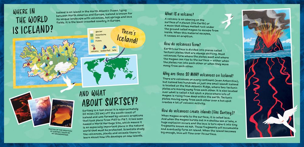 Barefoot Books Stranded  Paperback