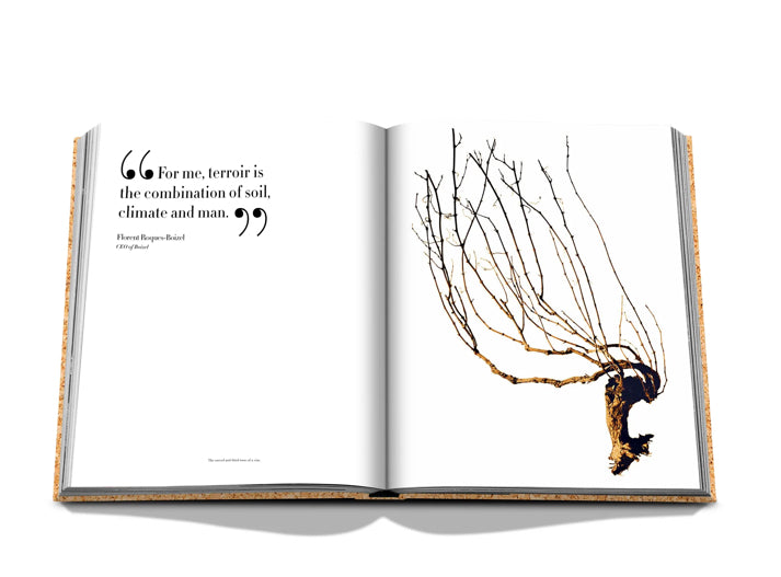 Assouline The Impossible Collection Of Champagne