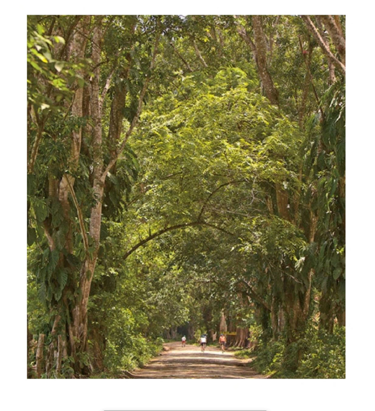 Fifty Places to Bike Before You Die