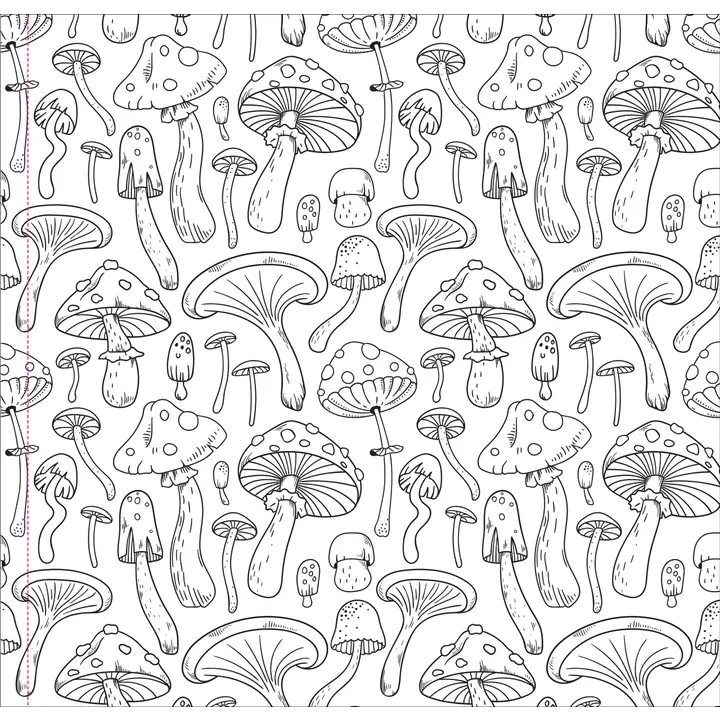 Mushrooms Colouring Book