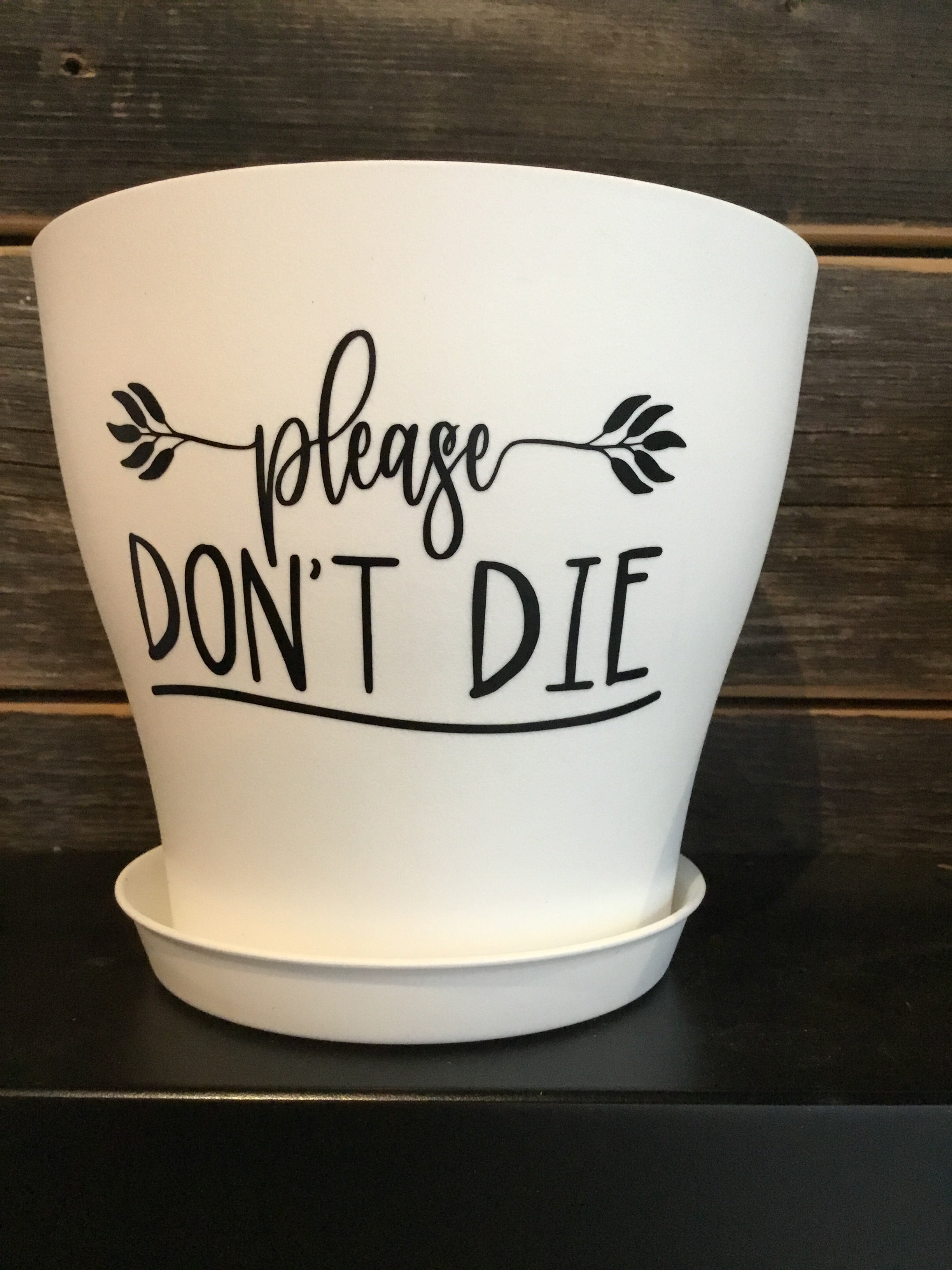 Potted Oasis 6" Please Don't Die