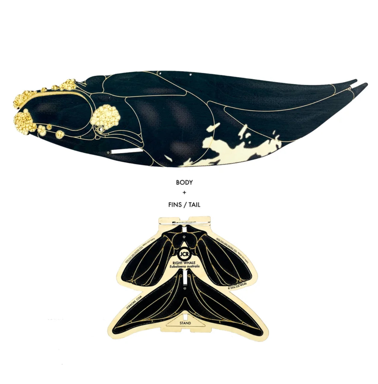 JCR Whales Right Whale