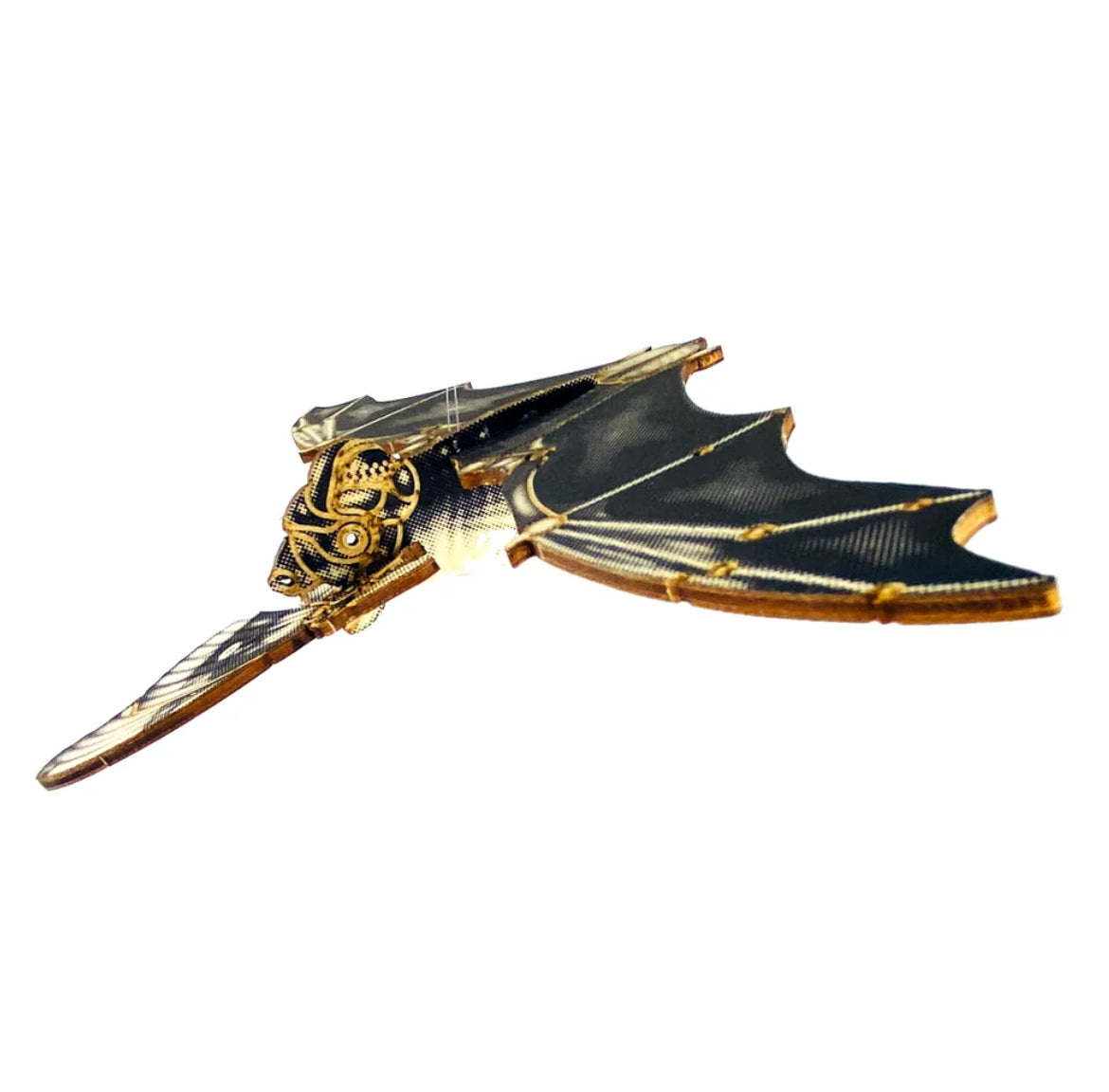 JCR Bats Free Tailed