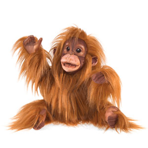 Baby Orangutan