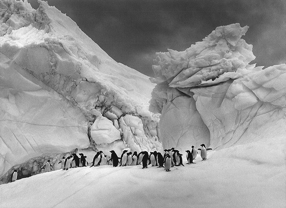Sebastião Salgado: Glaciers