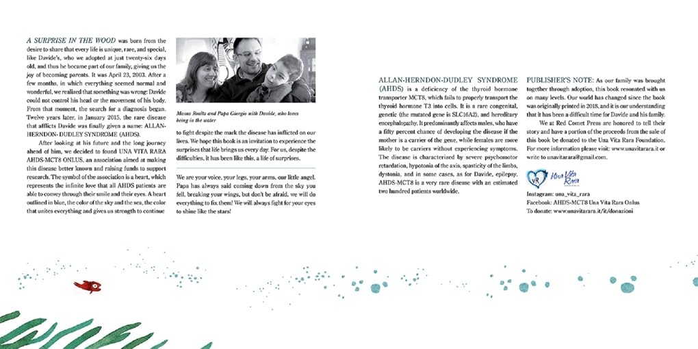 A Surprise in the Wood