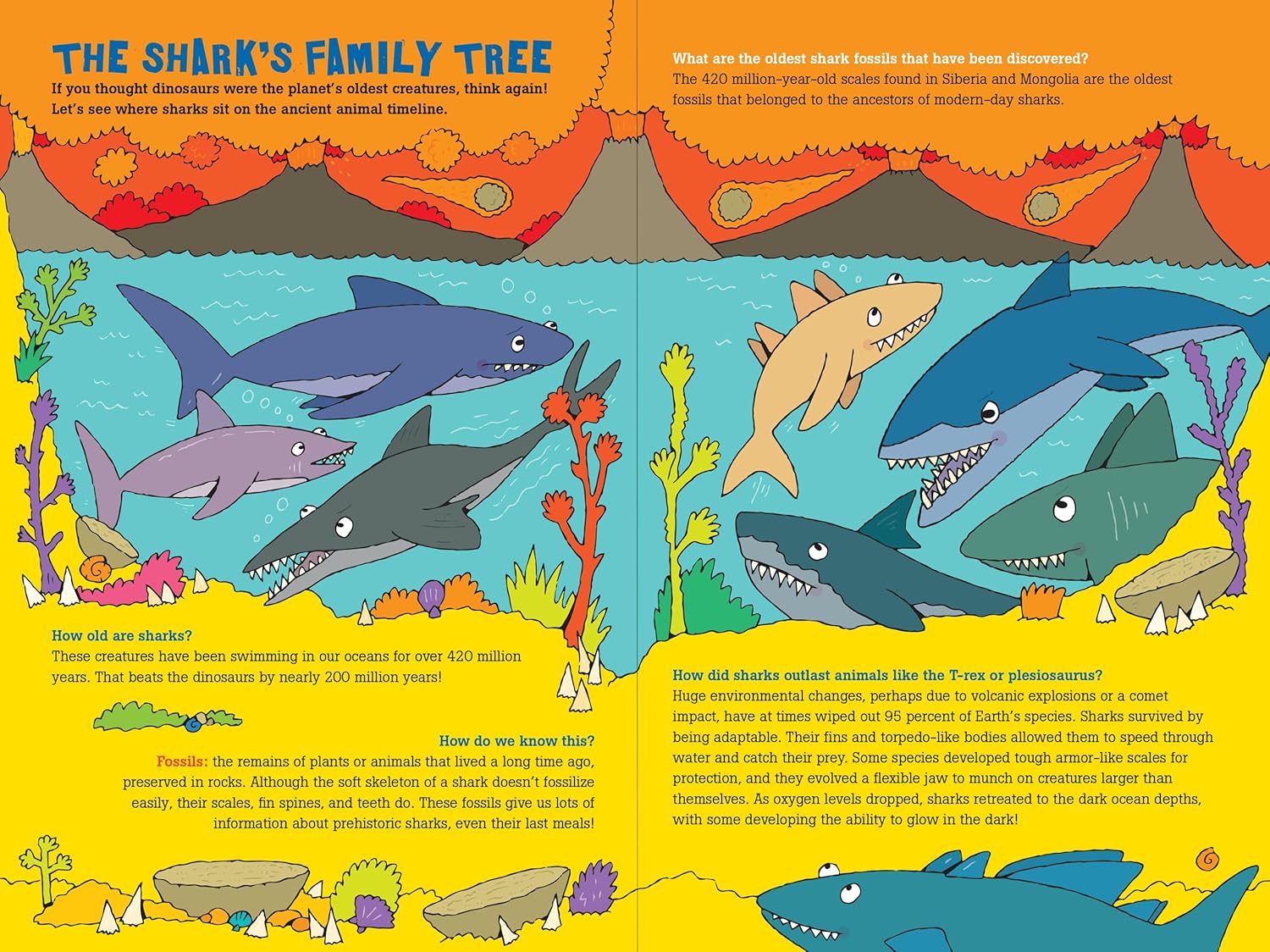 100 Questions About Sharks