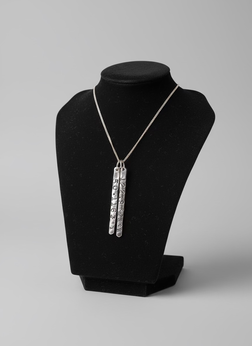 Lazy Maisie Whistler Coordinates Necklace Silver