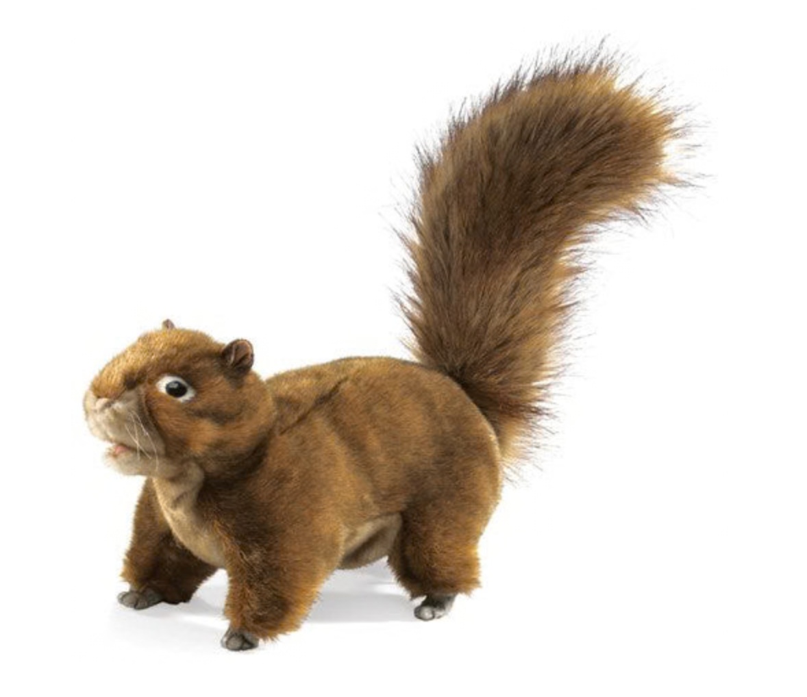 Red Squirrel Puppet