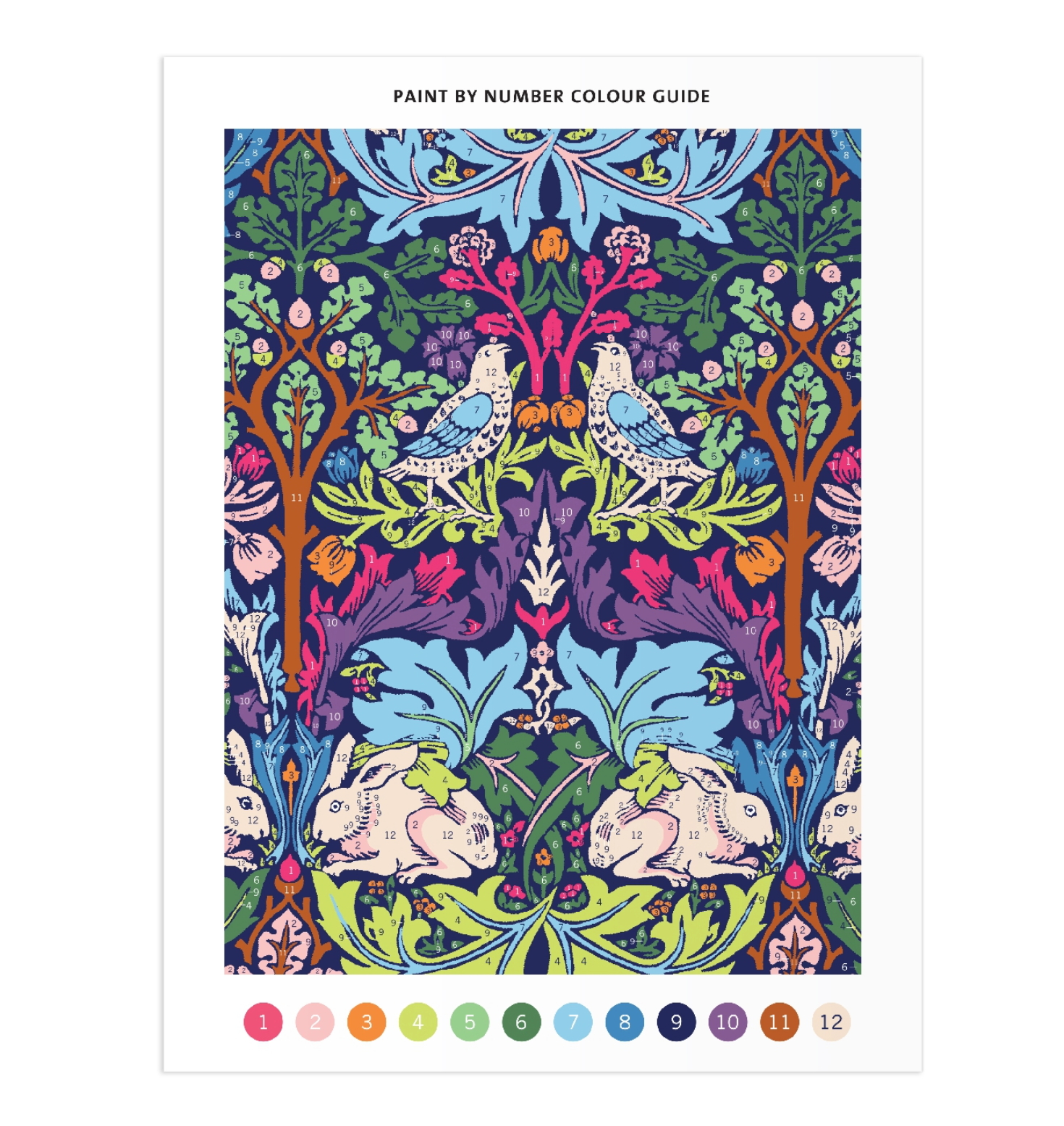RC William Morris Brother Rabbit Paint by Number Kit