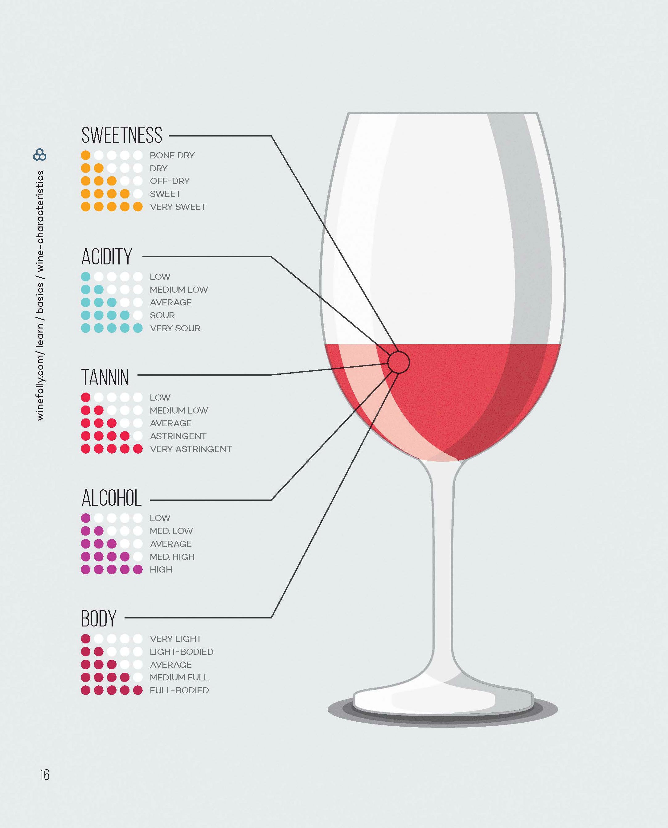 Wine Folly: Magnum Edition - Puckette