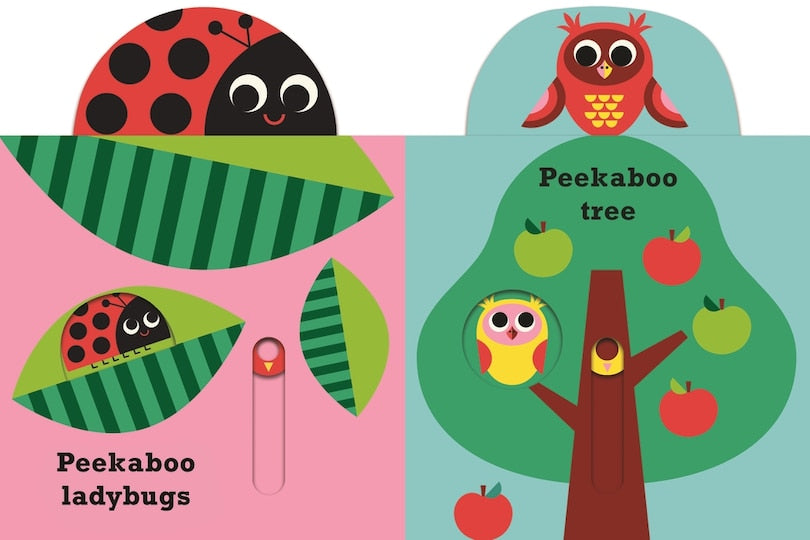 Peekaboo:Bear