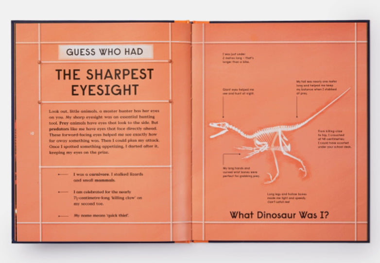 Book Of Dino