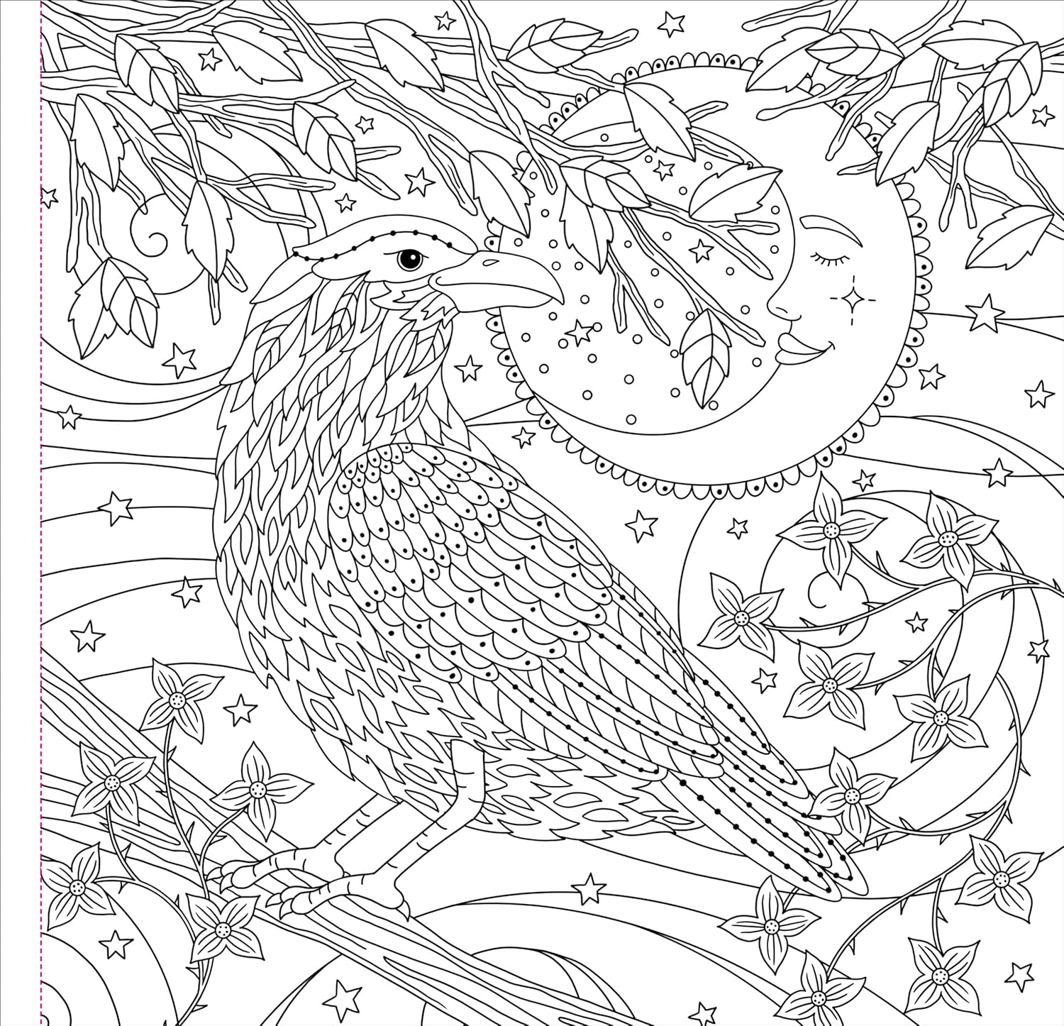 Witchcraft & Wonder Colouring Book