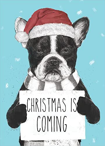 Retrospect Boxed Cards Christmas Is Coming