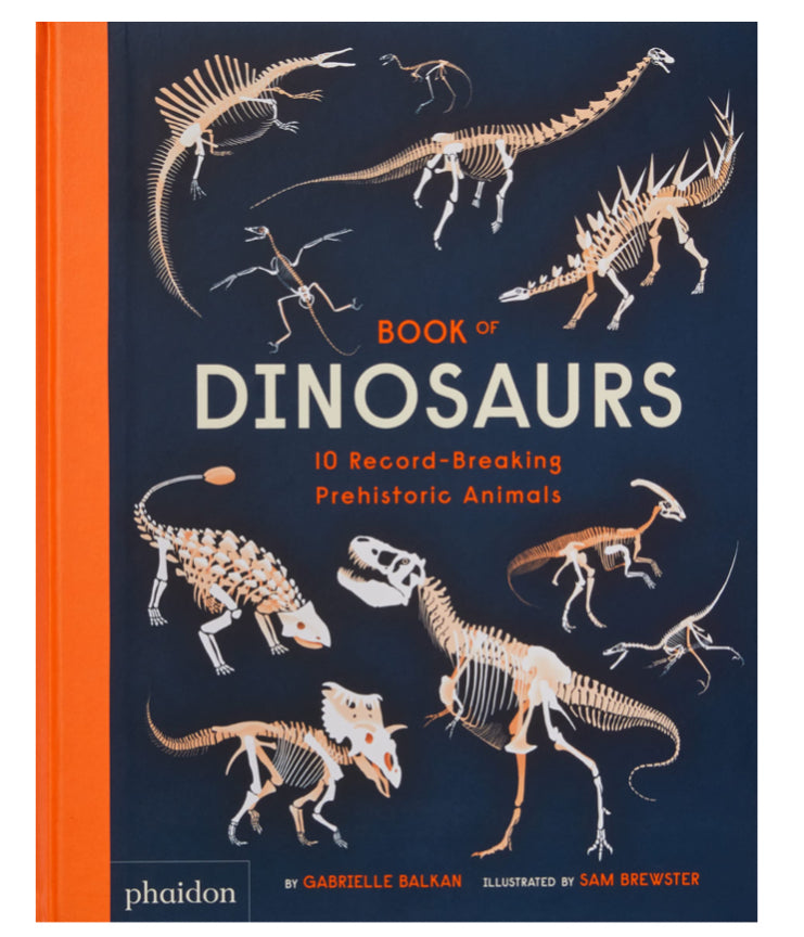 Book Of Dino